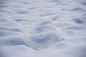 Molehills covered with fresh snow