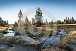 Small mountain creek in the middle of green meadows and spruce forest, Jizera Mountains, Czech Republic Mountain village Jizerka