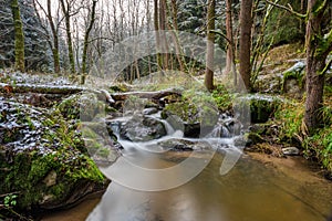 Small mountain creek in a woodland