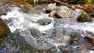 A small mountain river with cold clear water. Beautiful nature in the highlands