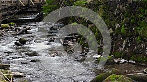 Small mountain river with crystal clear water. Water flows over the stones overgrown with moss in green forest. 4K video