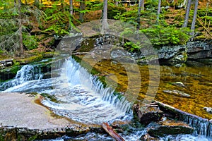 A small mountain river flows down into a green forest