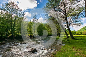 Small mountain river flows through the valley