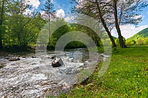 Small mountain river flows through the valley