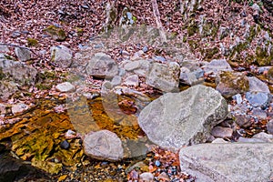 Small mountain stream