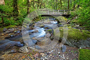 Small Mountain Stream and Bridge