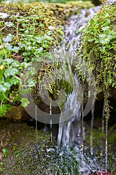 A small mountain stream flows down the slope over grass and moss