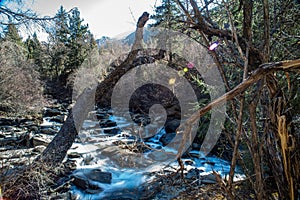 A small mountain stream flows among stones in forest