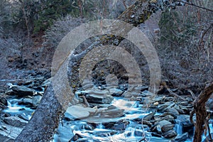 A small mountain stream flows among stones in forest