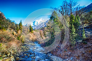 A small mountain stream flows among stones in forest