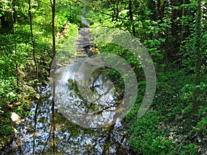 Small mountain stream in the forest, illuminated by the afternoon sun, reflection of trees on water surface