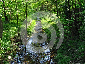 Small mountain stream in the forest, illuminated by the afternoon sun, reflection of trees on water surface