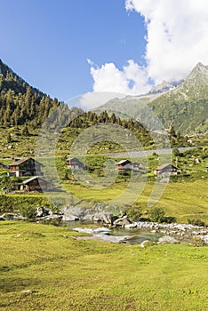 Small mountain village nestled in the green Swiss mountains