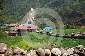 Small mountain village and potato field in Nepal
