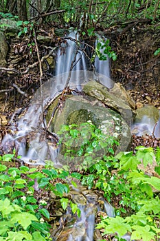 Small Waterfall in the Blue Ridge Mountain