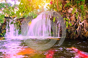 small mountain waterfall in the tropical jungle, Selective focus