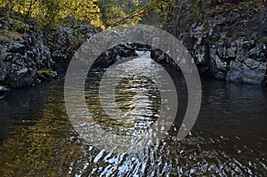 Small mountain woodsy river 2 photo