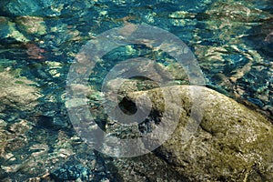 Small multicolored stones on the bank of a mountain stream with crystal clear glacial water. Top view.