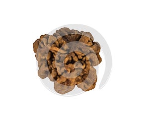 A small mushroom gyromitra isolated on a white background.