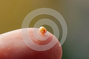 Small mustard seed on finger. Faith the size of a mustard seed. Generative AI.