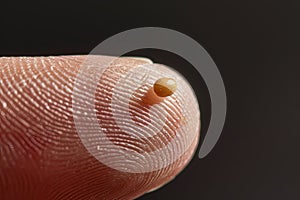 Small mustard seed on finger. Faith the size of a mustard seed. Generative AI.