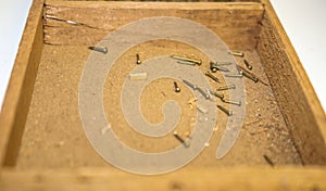 Small nails scattered in a dusty splintered wooden box - selective focus