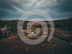 Small narrow creek through the forestland with the cloudy skyline background photo