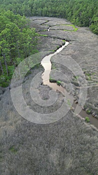 Small narrow creek through the forestland, vertical, aerial photo