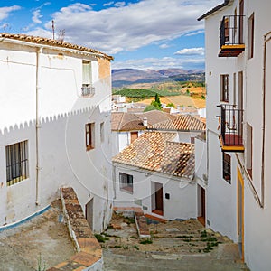 A small narrow street with white houses and abundant greenery in the old European city. Ronda, Andalusia, Spain. Panorama