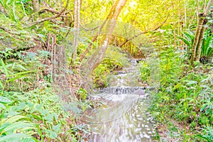 Small natural spring waterfall ( Filtered image processed vintage effect. ) .