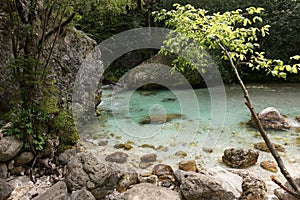 Small naturall pool in the Soca River Stream