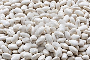 Small Navy, haricot, white pea, white kidney or Cannellini Purgatorio beans