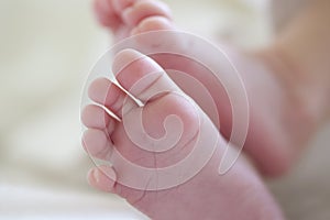 Small Newborn baby feet and toes