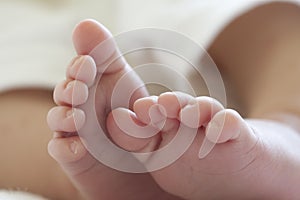 Small Newborn baby feet and toes