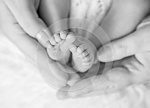 Small newborn baby`s feet covered with blanket, black and white