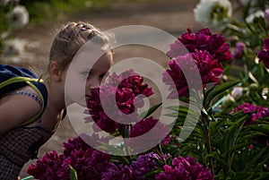 Small nice girl with beautiful eyes smelling peony flowers in park