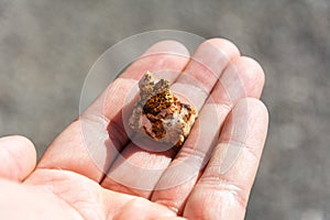 Small nugget of gold in human hand