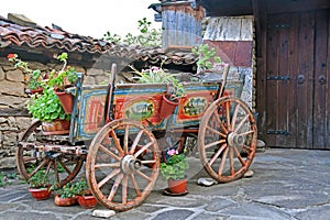 Small old colorful cart, covered with pots of flowers.