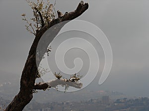 Small, old, Maronite Church located at Mount Lebanon