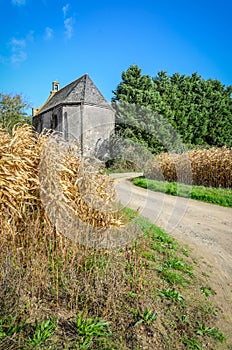 Small old medieval building in corn field