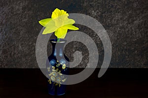 Small Old Oriental Flower Vase with Single Daffodil on a Wooden Shelf