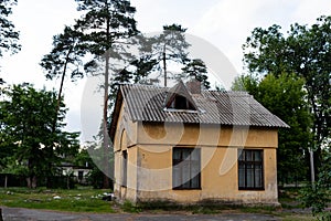 Small one-story house. Yellow building. Brick edifice near the pines. Old house with windows.