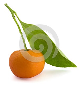 Small Orange