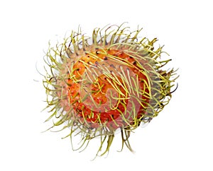 A small orange fruit with green leaves