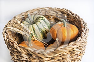 Small organic pumpkins with yellow wheats in a handmade basket on a white background, close up