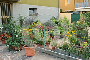Small ornamental garden with flower pots