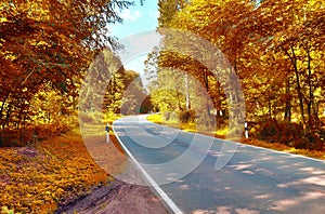 Small ountryside street in at an autumn forest with golden and brown trees