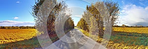 Small ountryside street in at an autumn forest with golden and brown trees