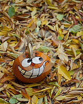 Small Painted Grinning Halloween Pumpkin Among Leaves