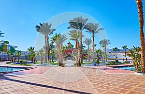 The palm garden in Sharm El Sheikh, Egypt photo